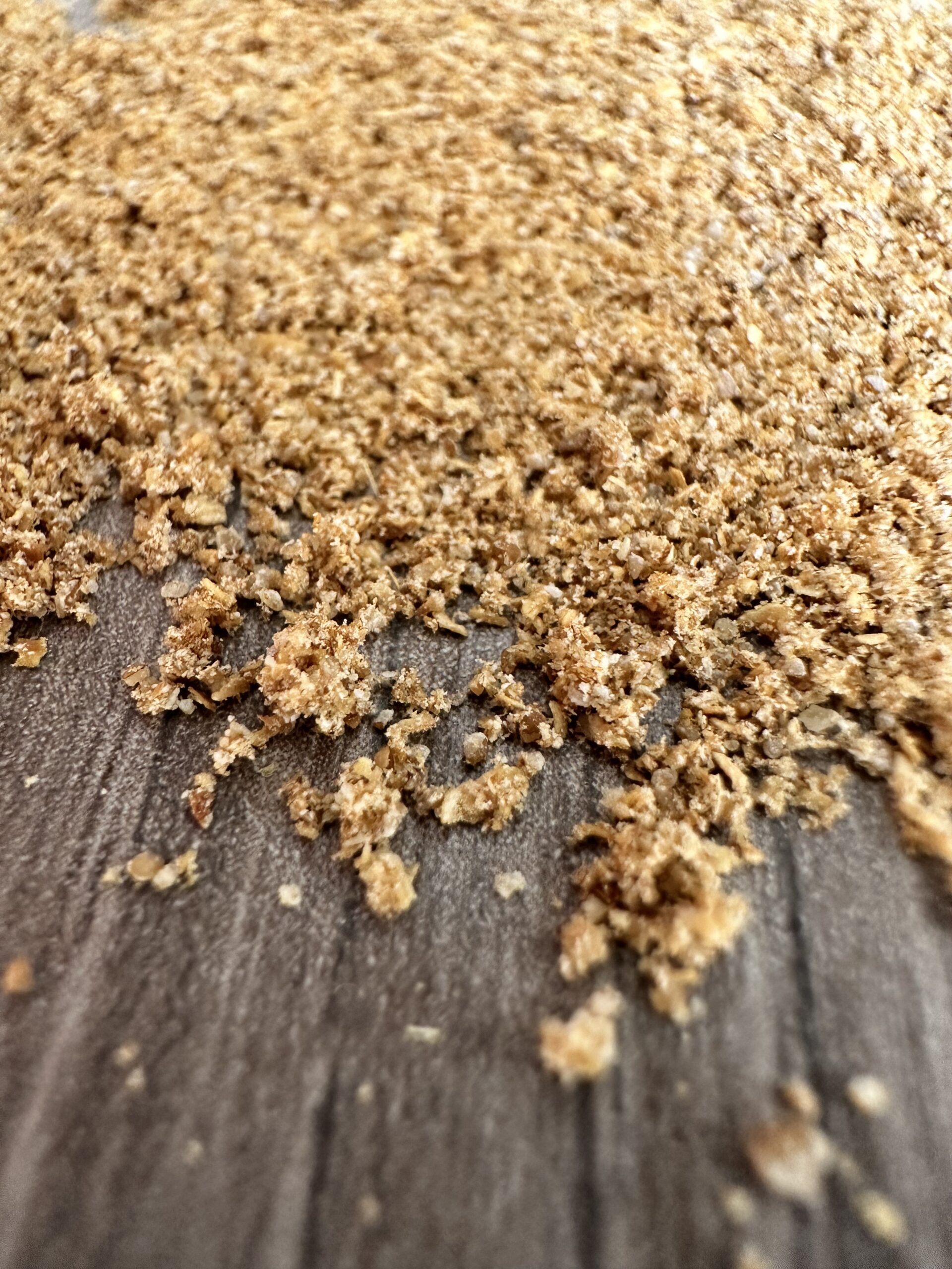 Coriandolo polvere